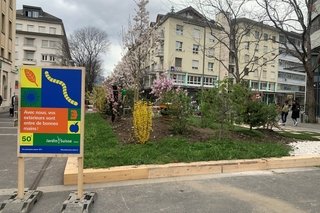 JardinSuisse Valais lance le coup d’envoi de son 50ème anniversaire